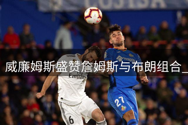 威廉姆斯盛赞詹姆斯与布朗组合 称詹皇始终是其心中最佳