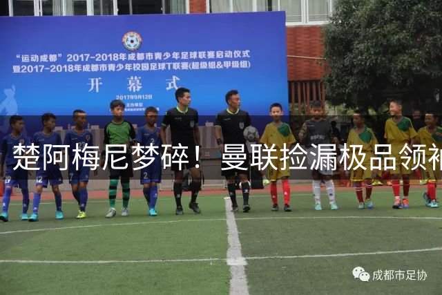 楚阿梅尼梦碎！曼联捡漏极品领袖中场！性价比引援太绝了